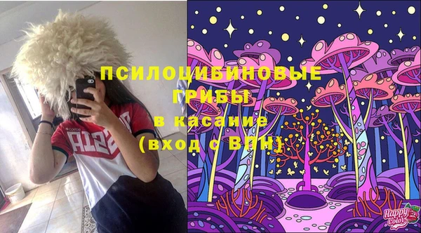 apvp Алексеевка